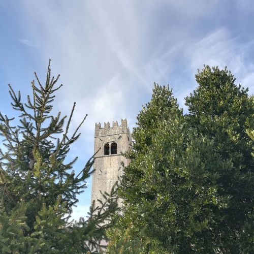 Uncover Culinary Treasures in the Motovun Forest