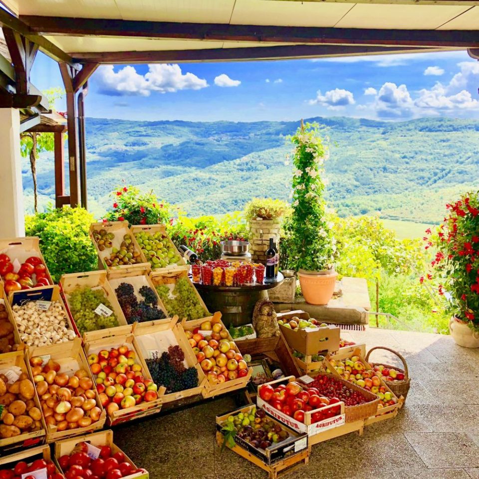 Uncover Culinary Treasures in the Motovun Forest