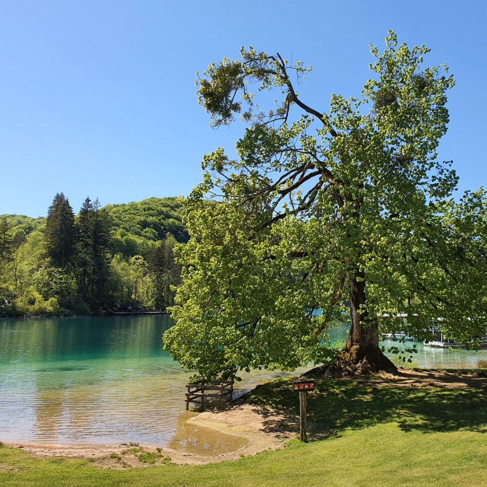 Zagreb - Plitvice Lakes - Split Private tour